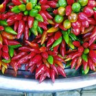 Culinary Uses for Paprika