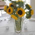Centerpiece Ideas for Men