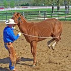 How To Get Smoke Smell Out Of Leather Shoes Our Everyday Life Soften Leather Belts Clean Suede Chaps
