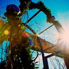 How to Decorate a Wedding Trellis