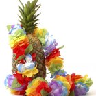 Cheap & Fun Luau Birthday Ideas