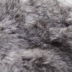 How to Care for Rabbit Fur