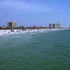 Restaurants on Gulf to Bay in Clearwater, Florida