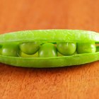 How to Buy Soy Bean Oil in the U.S.