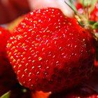How are Strawberries Good for the Skin?