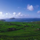 What Kinds of Clothes Do They Wear in Ireland?