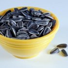 Are Sunflower Seeds Nuts? | Our Everyday Life