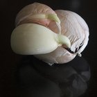 Garlic for Hair Growth