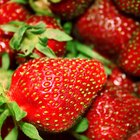 Is It Possible to Get Rid of Acne Overnight Naturally?