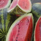 What Are 10 Anti-Wrinkle Foods to Eat?
