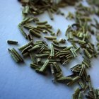 Can Herbs Make Hair Grow Faster?