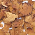 Chinese Remedies for Lines & Wrinkles