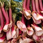 Healthy Rhubarb Banana Bread
