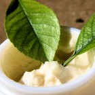 What Are the Best Vegan Anti-Wrinkle Products?