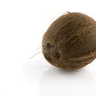 Properties of Coconut Fiber