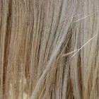 What Causes Human Hair to Turn Gray?