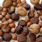 10 Superfoods for Diets