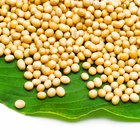 The Best Sources of Soy Isoflavones