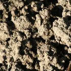 Types of Biodegradable Products