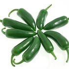 Remedies for a Jalapeno Skin Burn