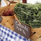 How Many Calories Do Collard Greens Have?