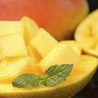 The Sugar in Mangoes