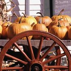 Meals Made With Pumpkins