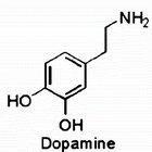 Como reduzir a produção de dopamina