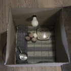 Cómo construir una sencilla incubadora para pollos con una bombilla eléctrica