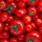 Cómo hacer jugo de tomate con tomates frescos
