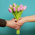 9 flores para o Dia dos Namorados