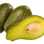 Cómo saber si un aguacate está maduro