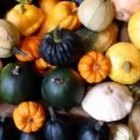 Cuál es la mejor manera de almacenar una calabaza