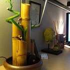 Cómo fabricar una fuente de bambú