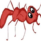 Cómo eliminar hormigas con remedios caseros