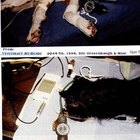 Cómo tomar la presión sanguínea de los perros