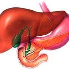Qual a função do fígado no sistema digestivo?