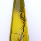 Cómo hacer loción para las arrugas con aceite de oliva