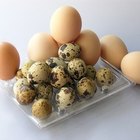 Cómo limpiar huevos frescos
