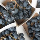 Cómo podar las vides de las uvas de mesa