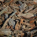 Instrucciones sobre cómo construir un ahumador