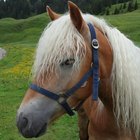 Cómo hacer pulseras de pelo de caballo