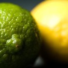 Cómo podar un árbol de limón persa