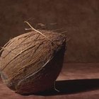 Cómo abrir y comer un coco