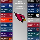 Arizona Cardinals Football SportsRec, 52% OFF