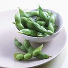 Woman eating edamame