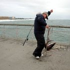 What are the Fines for Fishing Without a License in Florida? | Gone Outdoors | Your Adventure Awaits
