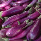 Slice of eggplant