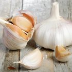 Onions and garlic bulbs on a plate