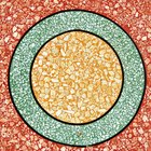 ¿Qué hacer con los viejos pisos de terrazo?